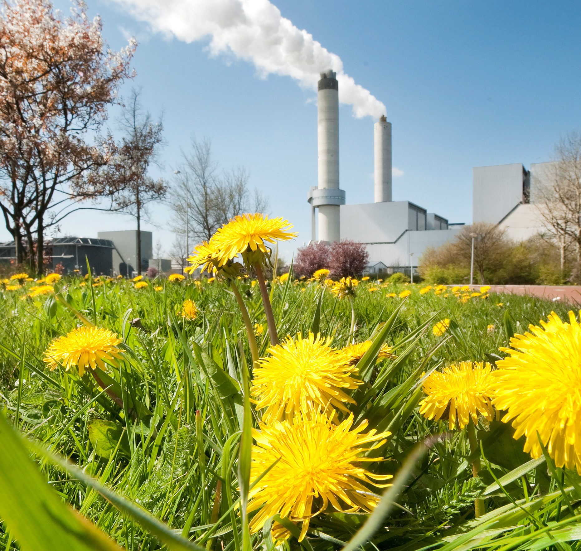 Hoe kunnen we u helpen?