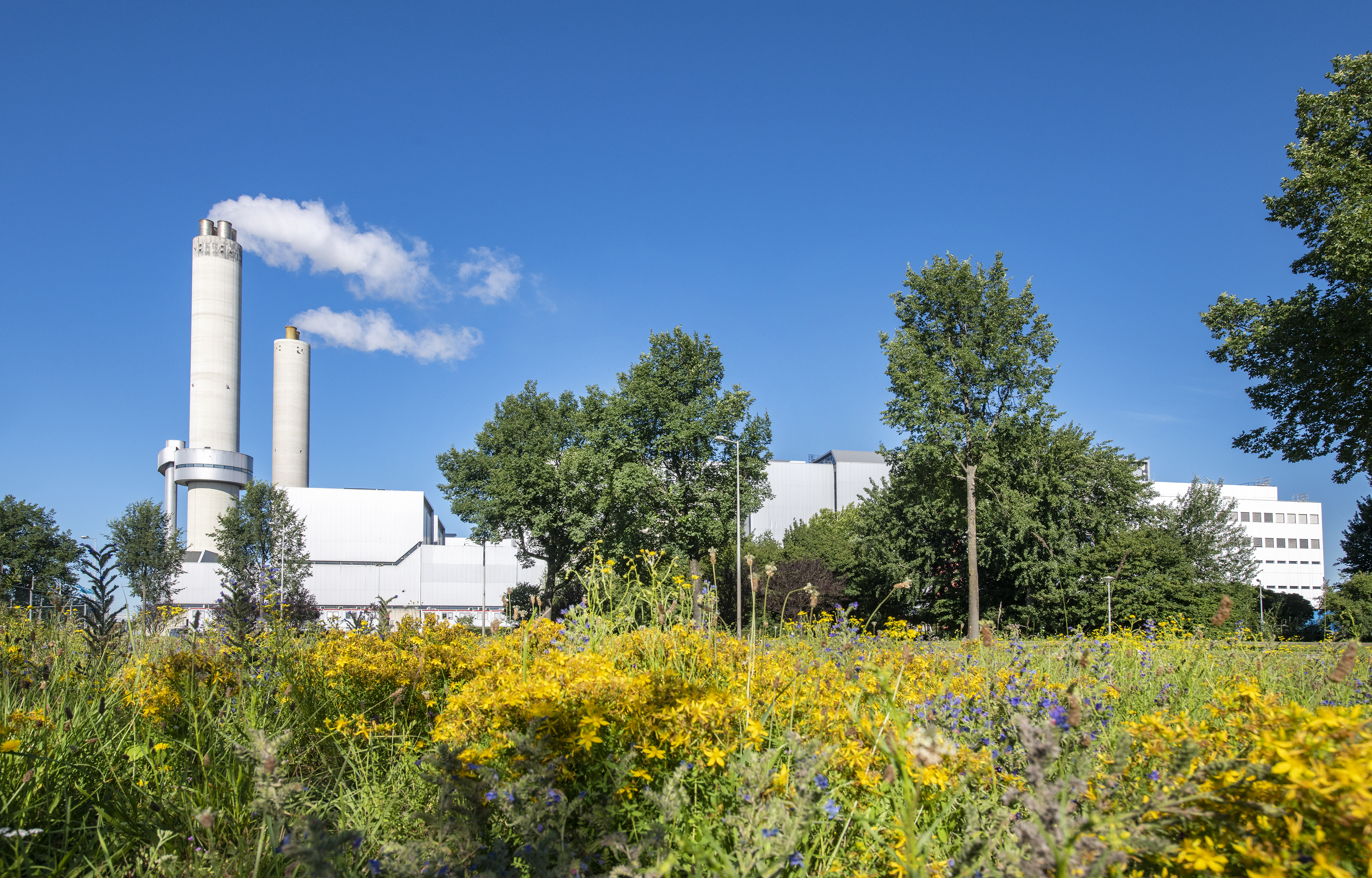 AEB publiceert MVO-kompas: zo werken we aan duurzaamheid