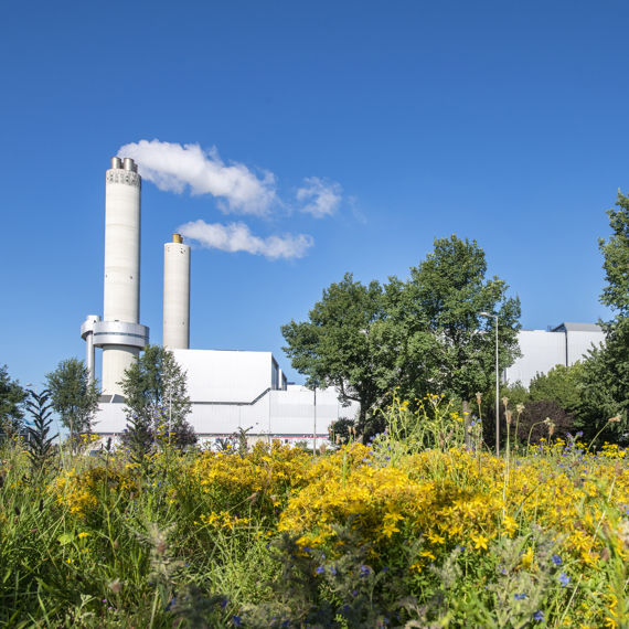 AEB publiceert MVO-kompas: zo werken we aan duurzaamheid